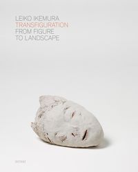 Produktbild: Transfiguration &ndash; From Figure to Landscape