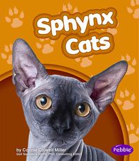 Produktbild: Sphynx Cats