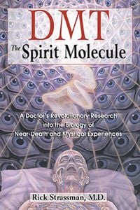 Produktbild: DMT: The Spirit Molecule