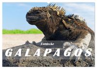 Produktbild: Entdecke Galapagos (Wandkalender 2026 DIN A2 quer), CALVENDO Monatskalender