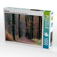 Produktbild: CALVENDO Puzzle Herbstwald | 1000 Teile Lege-Gr&ouml;&szlig;e 64x48cm Foto-Puzzle f&uuml;r gl&uuml;ckliche Stunden