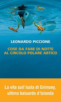 Produktbild: Cose da fare di notte al circolo polare artico