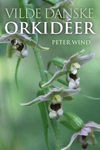 Produktbild: Vilde danske orkid&eacute;er