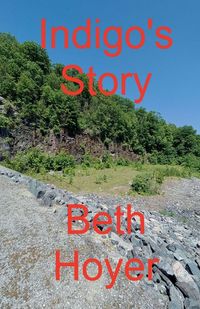 Produktbild: Indigo's Story