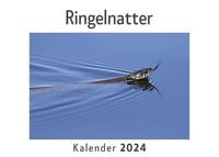 Produktbild: Ringelnatter (Wandkalender 2024, Kalender DIN A4 quer, Monatskalender im Querformat mit Kalendarium, Das perfekte Geschenk)