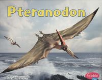Produktbild: Pteranodon