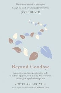 Produktbild: Beyond Goodbye
