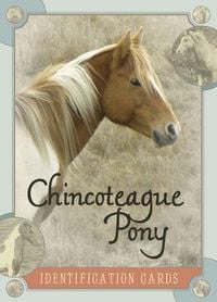 Produktbild: Chincoteague Pony Identification Cards