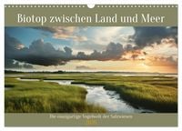 Produktbild: Biotop zwischen Land und Meer (Wandkalender 2026 DIN A3 quer), CALVENDO Monatskalender