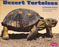 Produktbild: Desert Tortoises
