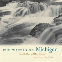 Produktbild: The Waters of Michigan
