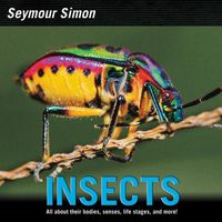 Produktbild: Insects