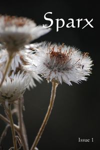 Produktbild: Sparx: Issue 1