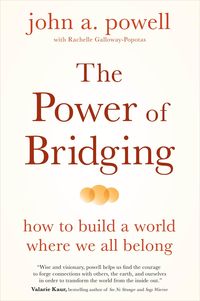 Produktbild: The Power of Bridging