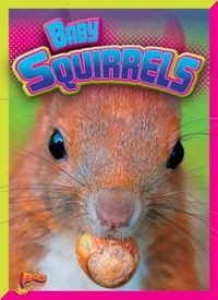 Produktbild: Baby Squirrels