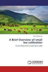 Produktbild: Baruah, A: Brief Overview of small tea cultivation