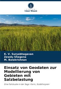 Produktbild: Einsatz von Geodaten zur Modellierung von Gebieten mit Salzbelastung