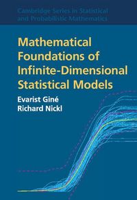 Produktbild: Mathematical Foundations of Infinite-Dimensional Statistical Models