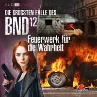 Produktbild: Feuerwerk f&uuml;r die Wahrheit