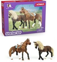 Produktbild: Horse Club Paso Peruano Starter-Set