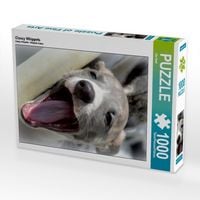 Produktbild: CALVENDO Puzzle Classy Whippets | 1000 Teile Lege-Gr&ouml;&szlig;e 64x48cm Foto-Puzzle f&uuml;r gl&uuml;ckliche Stunden