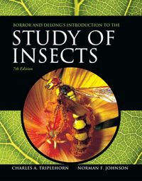Produktbild: Borror and DeLong's Introduction to the Study of Insects