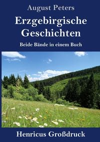 Produktbild: Erzgebirgische Geschichten (Gro&szlig;druck)