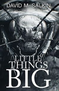 Produktbild: Little Things Big