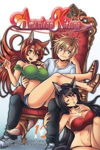 Produktbild: American Kitsune, Vol. 10 (Light Novel)