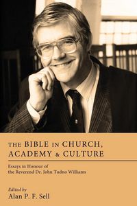 Produktbild: The Bible in Church, Academy, and Culture