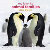 Produktbild: My Favorite Animal Families