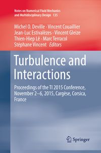 Produktbild: Turbulence and Interactions