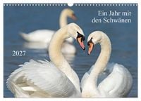 Produktbild: Ein Jahr mit den Schw&auml;nen (Wandkalender 2027 DIN A3 quer), CALVENDO Monatskalender
