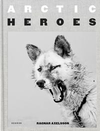 Produktbild: Arctic Heroes