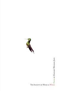 Produktbild: The Inanity Of Music and Wings