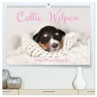 Produktbild: Collie Welpen einfach zuckers&uuml;&szlig; (hochwertiger Premium Wandkalender 2026 DIN A2 quer), Kunstdruck in Hochglanz