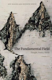 Produktbild: The Fundamental Field