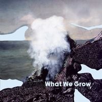 Produktbild: What We Grow