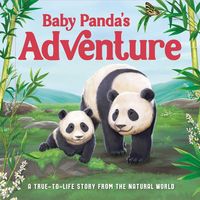 Produktbild: Baby Panda's Adventure