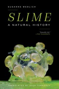 Produktbild: Slime