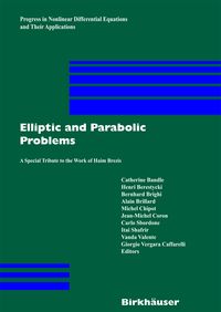 Produktbild: Elliptic and Parabolic Problems