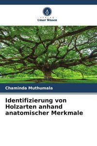 Produktbild: Identifizierung von Holzarten anhand anatomischer Merkmale