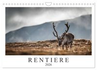 Produktbild: Rentiere (Wandkalender 2026 DIN A4 quer), CALVENDO Monatskalender