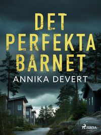 Produktbild: Det perfekta barnet