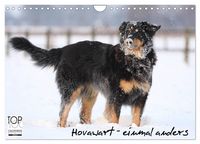 Produktbild: Hovawarte - einmal anders (Wandkalender 2027 DIN A4 quer), CALVENDO Monatskalender