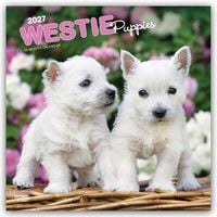 Produktbild: West Highland White Terrier Puppies &ndash; Westie Puppies &ndash; West Highland White Terrier Welpen &ndash; Westie Welpen 2027 &ndash; 16-Monatskalender