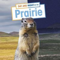 Produktbild: Day and Night on the Prairie