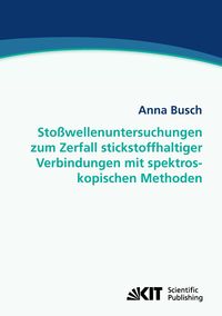 Bild vom Artikel Stoßwellenuntersuchungen zum Zerfall stickstoffhaltiger Verbindungen mit spektroskopischen Methoden vom Autor Anna Busch