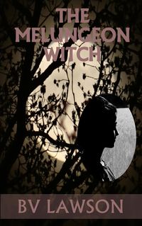 Produktbild: The Melungeon Witch Complete Five-Story Set (The Melungeon Witch Short Story Series)
