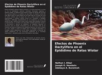 Produktbild: Efectos de Phoenix Dactylifera en el Epid&iacute;dimo de Ratas Wistar